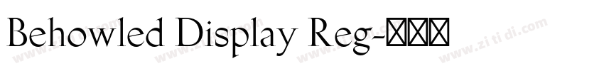 Behowled Display Reg字体转换